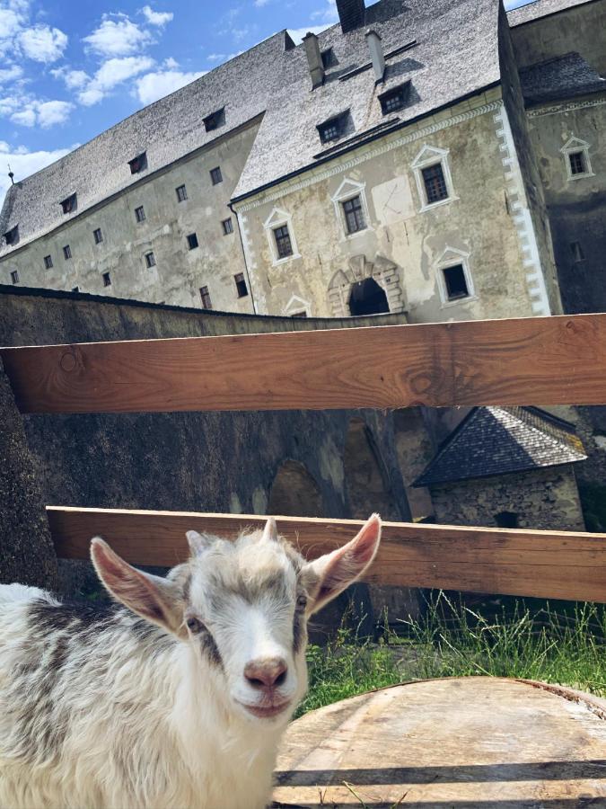 فندق Burg Altpernstein Micheldorf in Oberösterreich المظهر الخارجي الصورة