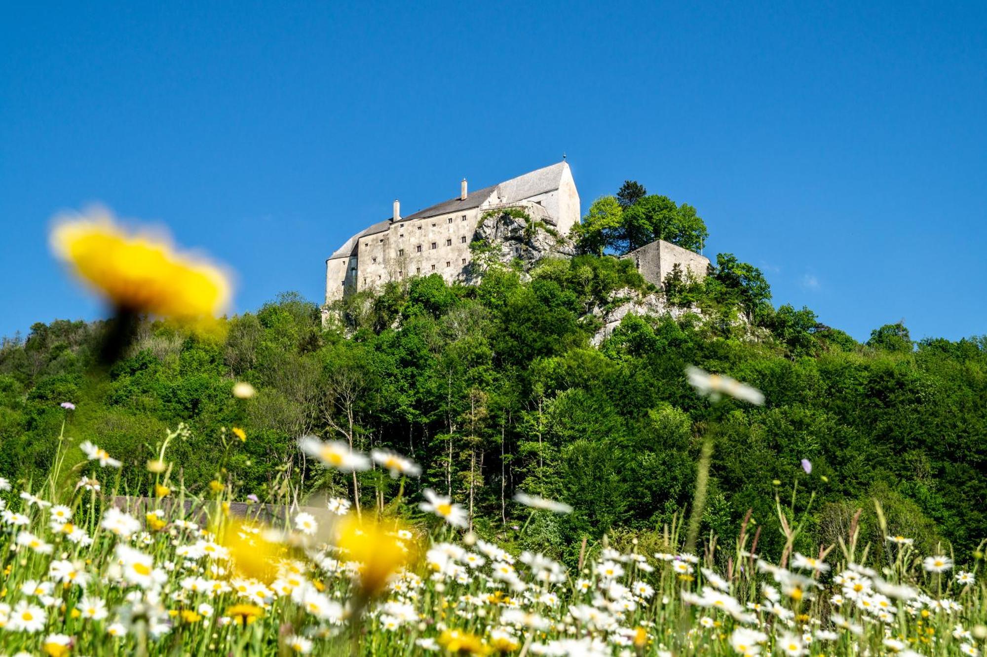 فندق Burg Altpernstein Micheldorf in Oberösterreich المظهر الخارجي الصورة